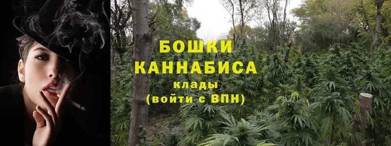 Марихуана White Widow  blacksprut ссылки  Малая Вишера 